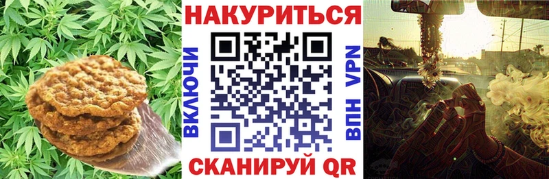 omg tor  Новоалтайск  Cannafood конопля  купить закладку 