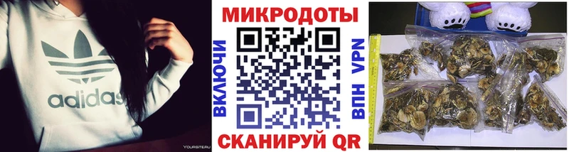 Псилоцибиновые грибы ЛСД  купить  сайты  Новоалтайск 
