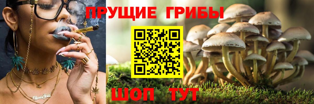 Галлюциногенные грибы MAGIC MUSHROOMS Новоалтайск