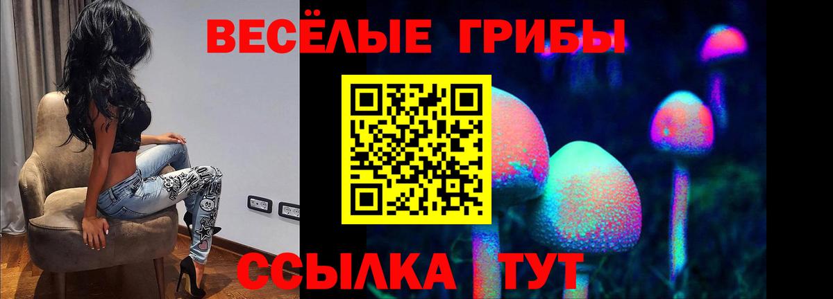 Новоалтайск  Псилоцибиновые грибы Psilocybe  Вход с VPN 
